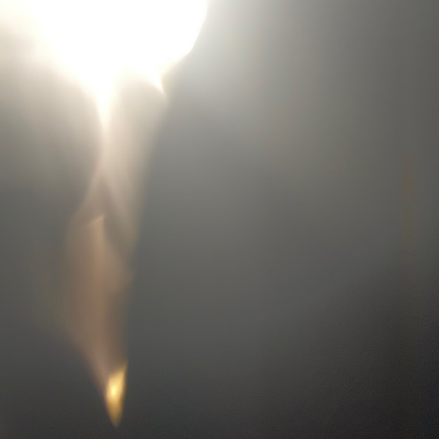 虞诗言